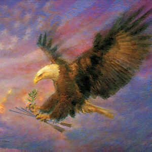 Bald eagle - Eagle